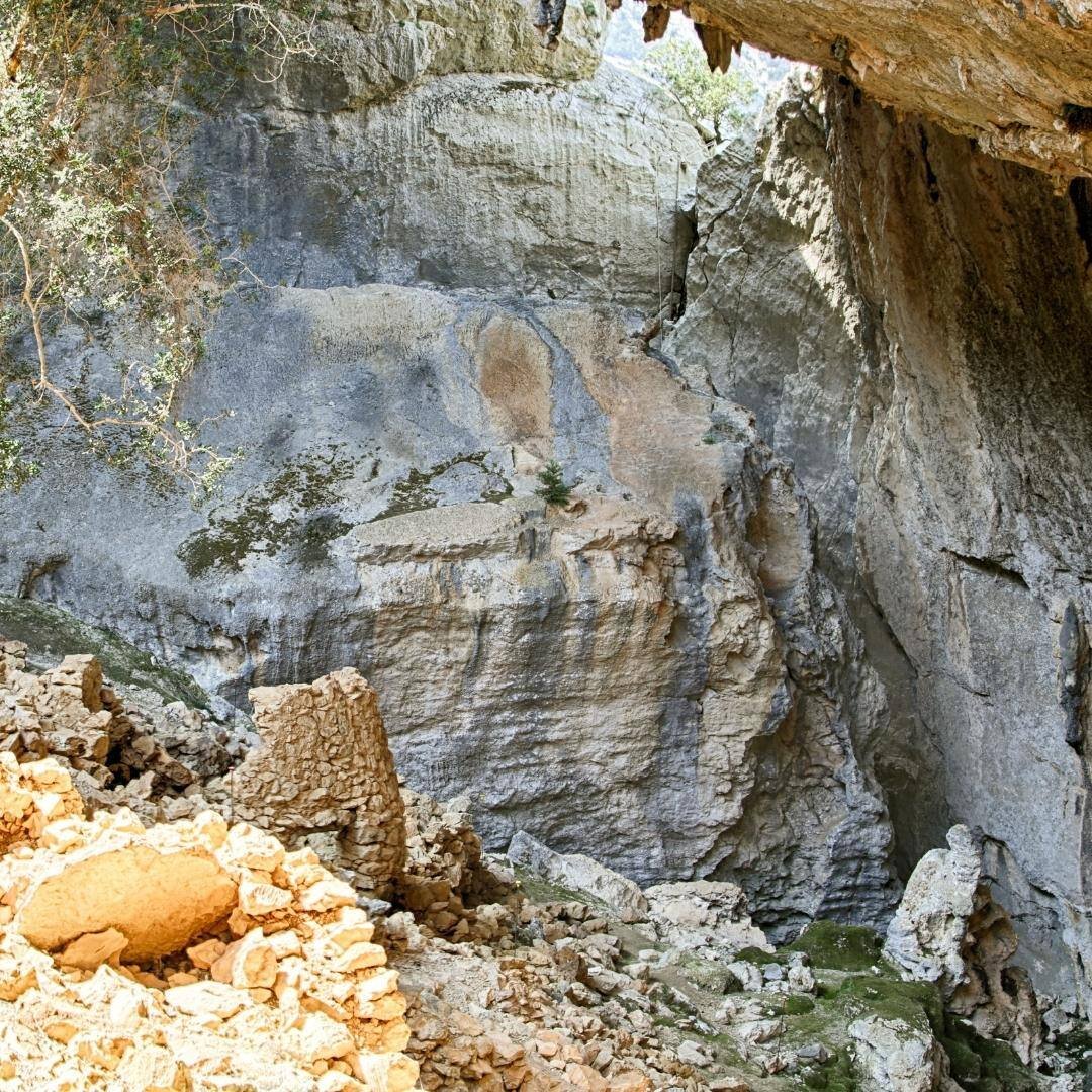 Tiscali