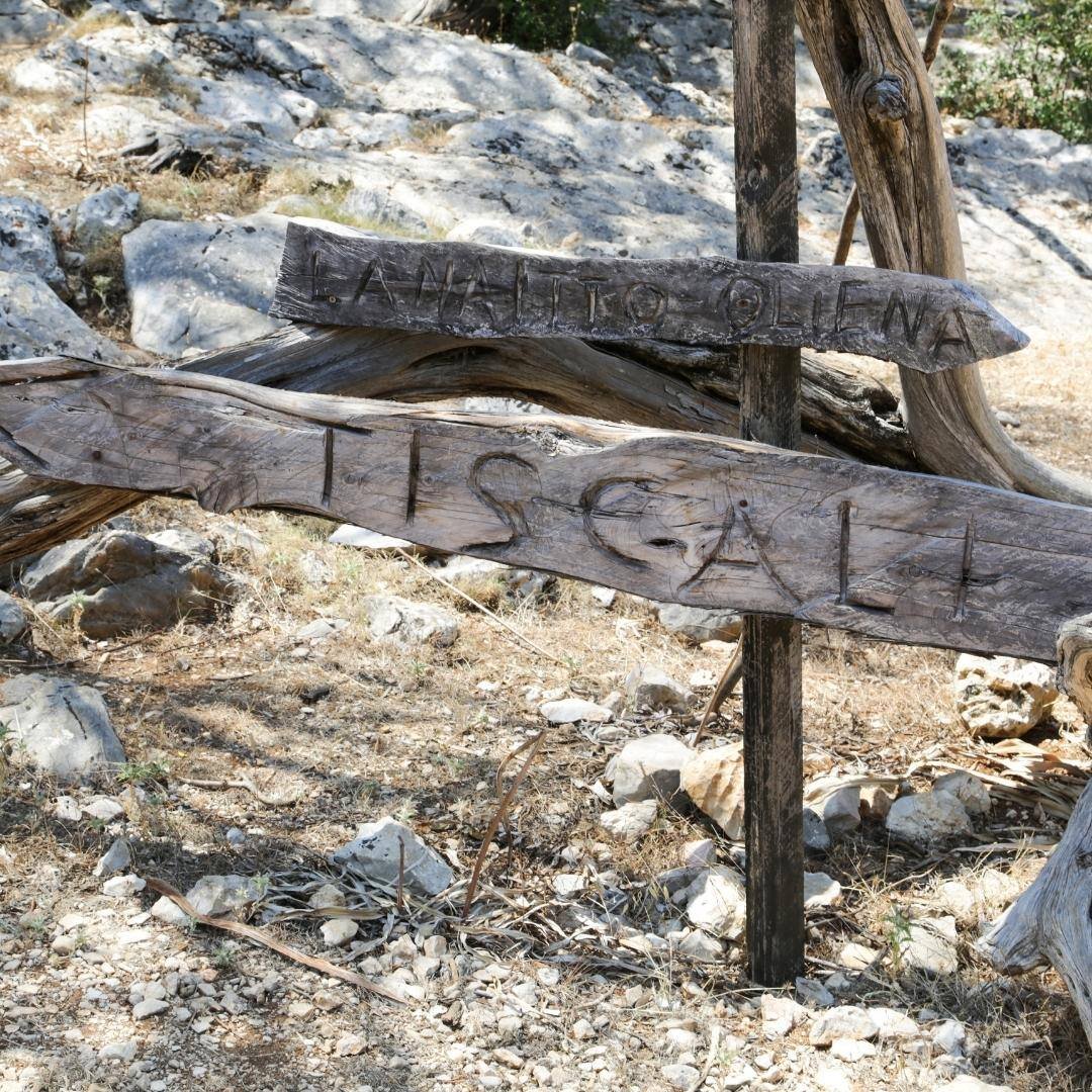 Tiscali Exp