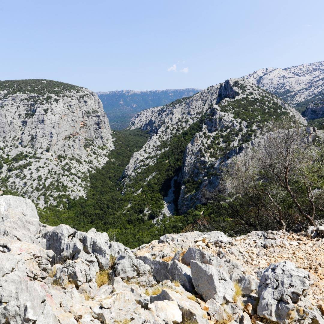 Tiscali