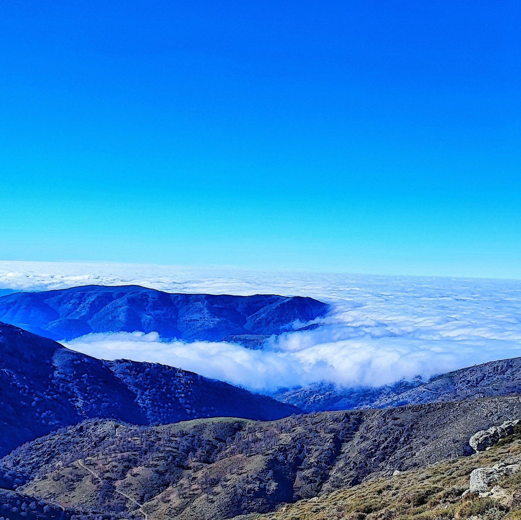 Punta La Marmora Summit